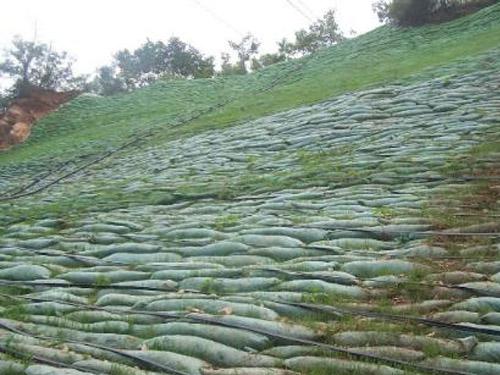 U3型压袋柔性水工保护袋